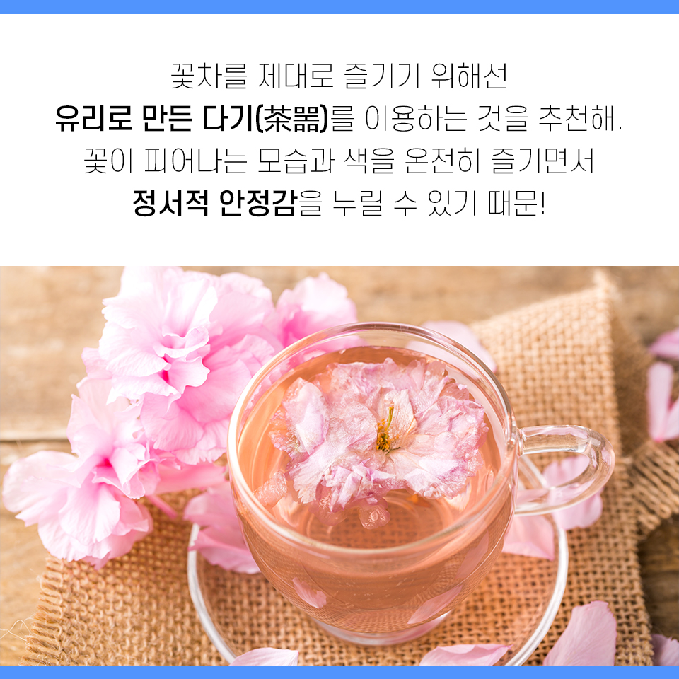 색이 피어나는 계절, 봄꽃 차의 매력