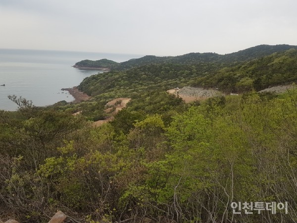 인천 무의도 국립자연휴양림 내년 상반기 개장