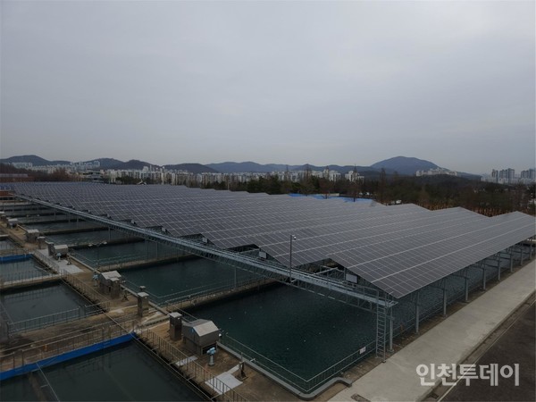 인천시, 수산정수사업소에 태양광 발전설비 운영 개시