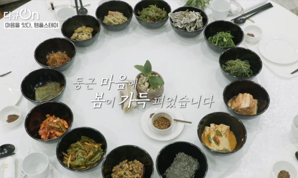 KBS다큐온, 14일 마음을 잇다, 템플스테이 방영