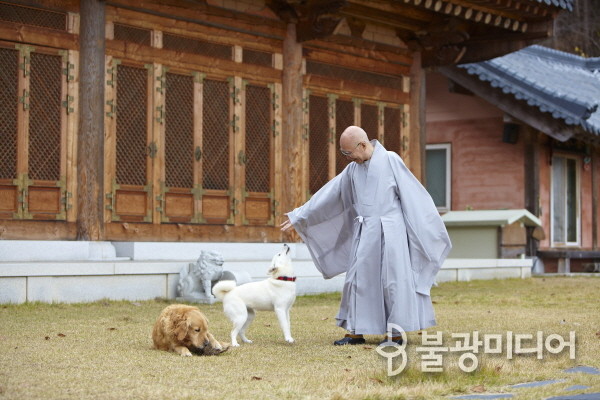 한국불교 수좌 고우 대종사 열반