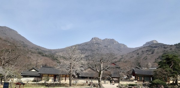 [지안의 문화이야기] 삼재불입지지 해남 대흥사