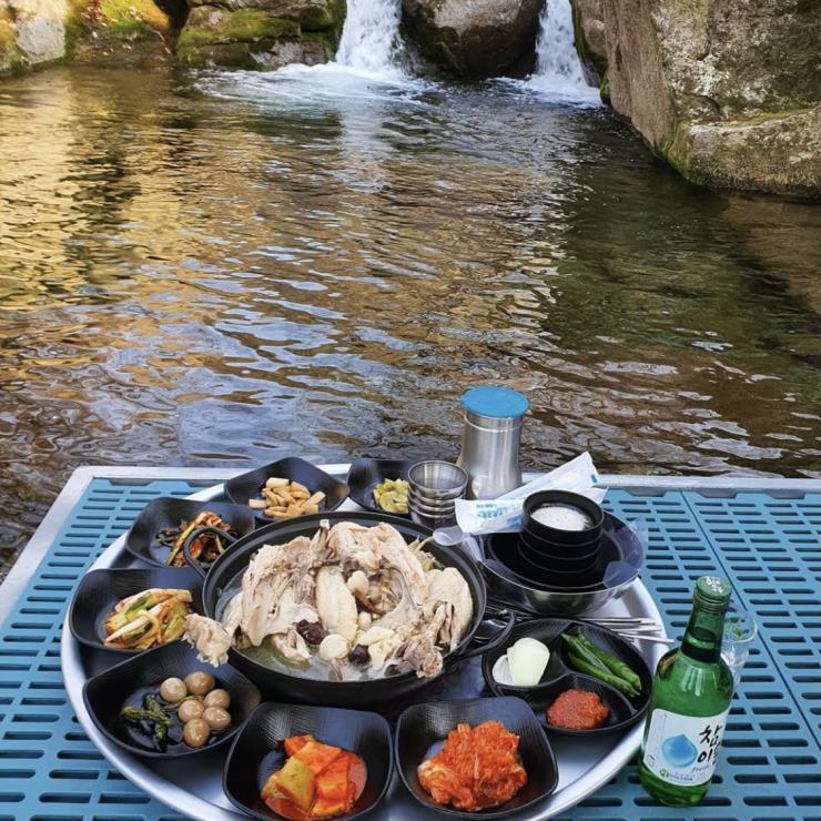 벚꽃길도 식후경, 하동 십리벚꽃길 맛집