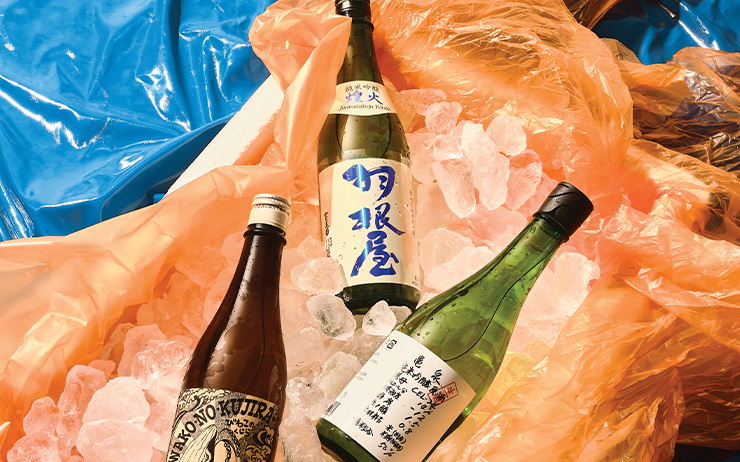 당신이 잘 몰랐던 살아있는 사케 나마자케의 세계