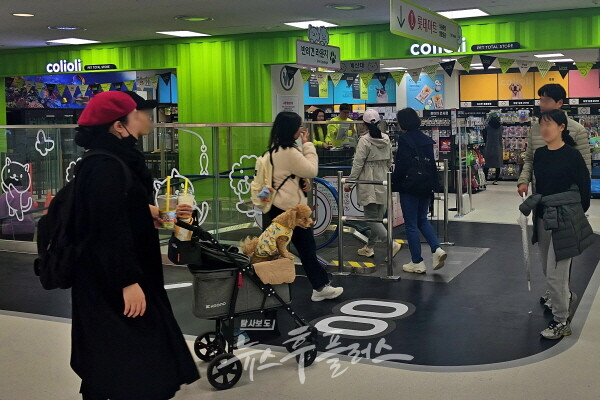 롯데마트, 반려동물 콘텐츠 집대성...콜리올리 펫타운 오픈