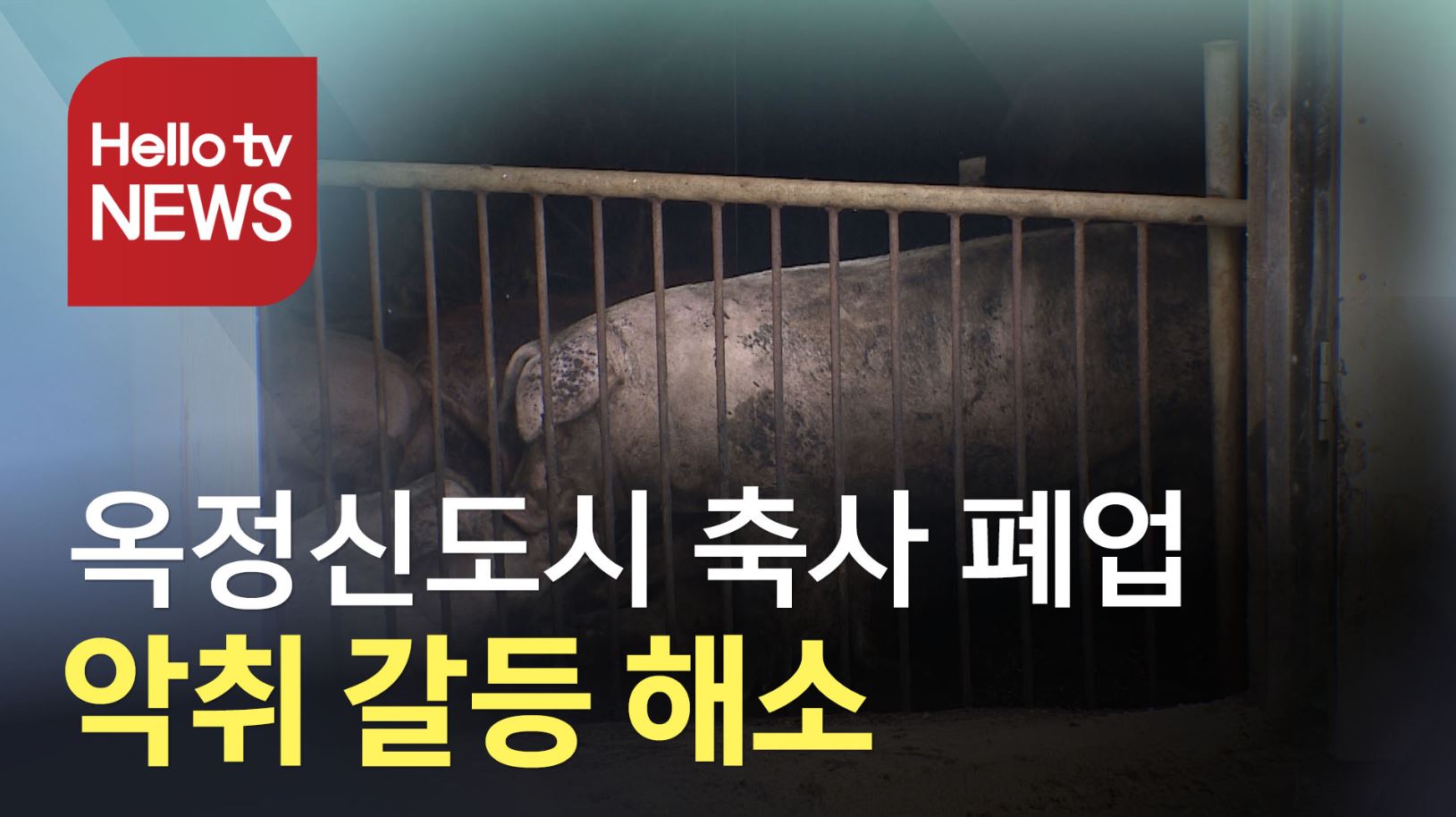 양주 옥정신도시 축사 폐업 결정, 악취 갈등 해소