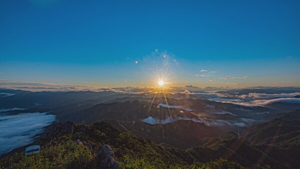 [강원특별법 특례]②전국 최초 산림이용진흥지구 지정…산지 활용 숨통