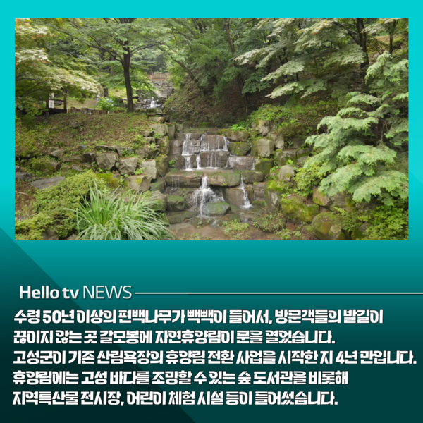 [카드뉴스] 편백향 가득한 고성 갈모봉 자연휴양림 개장