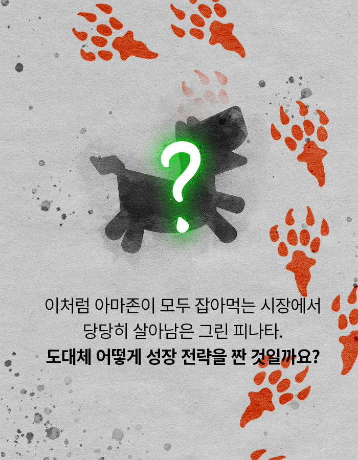 [카드뉴스] 유통 공룡 아마존을 이긴 스타트업의 비결