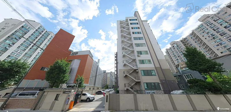 코스모스 단지 사진