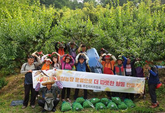 순천 사랑나눔 매실농장 수확 구슬땀