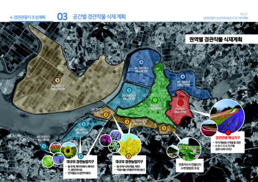 해남 전국 최대 꽃단지 조성