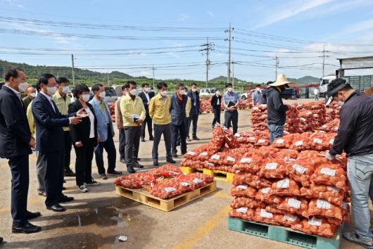 고흥, 햇마늘 대형마트 본격 출하