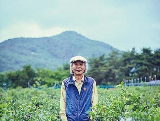 “블루베리 농장에서 힐링하세요”