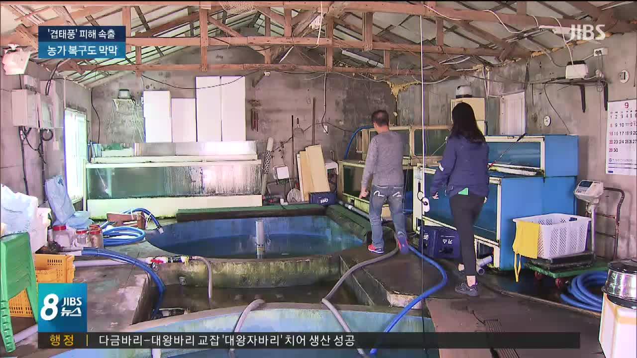 연이은 가을 태풍.. 피해 속출