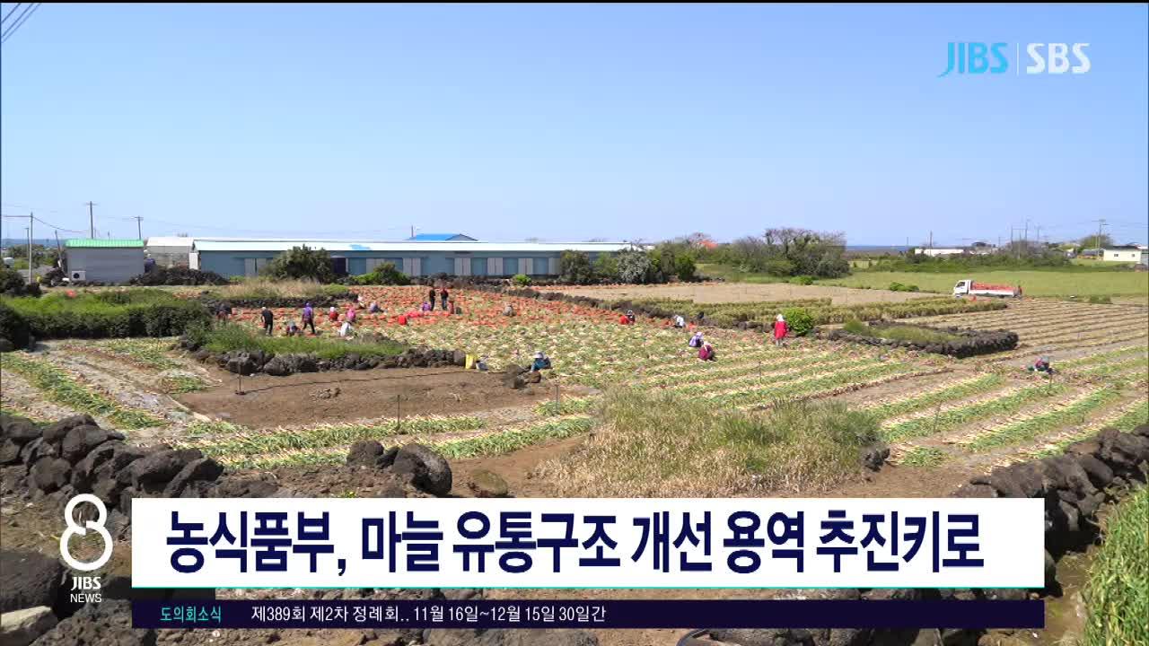 제주, 농식품부 마늘 유통구조개선 용역 추진키로