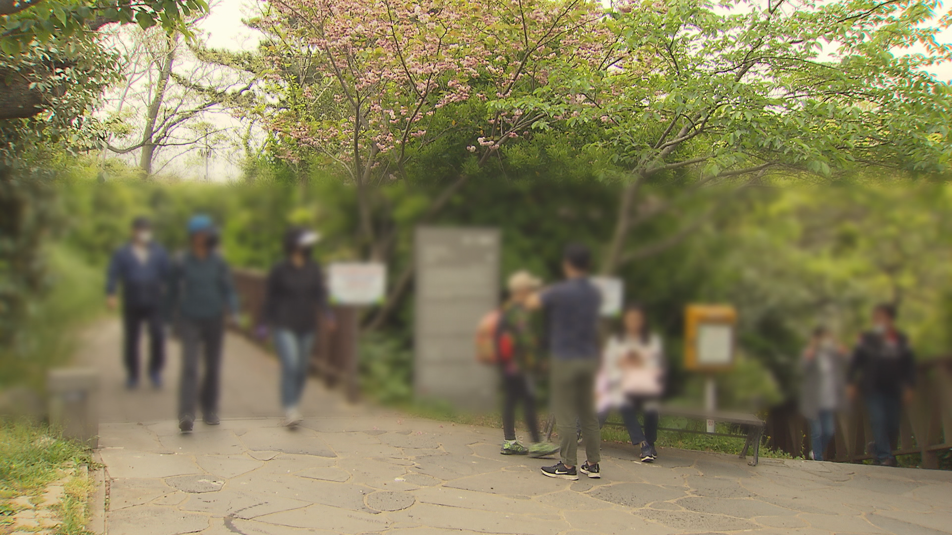 제주, 심쿵투어 원도심 모바일 스탬프 투어 운영