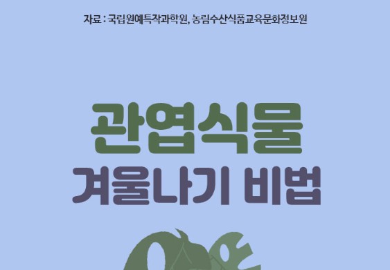 [생활정보] 386. 관엽식물 겨울나기 비법