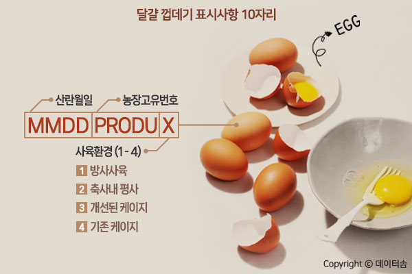 사육 환경 1번 허위 기재 달걀 56만개 시중 유통