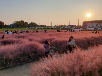 평택시 바람새마을 소풍정원 가장 안전하고 편안한 여행지 전국 7위