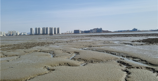 수도권제2순환도로 인천~안산 습지보호 협의 통과...송도갯벌 관통 논란은 여전