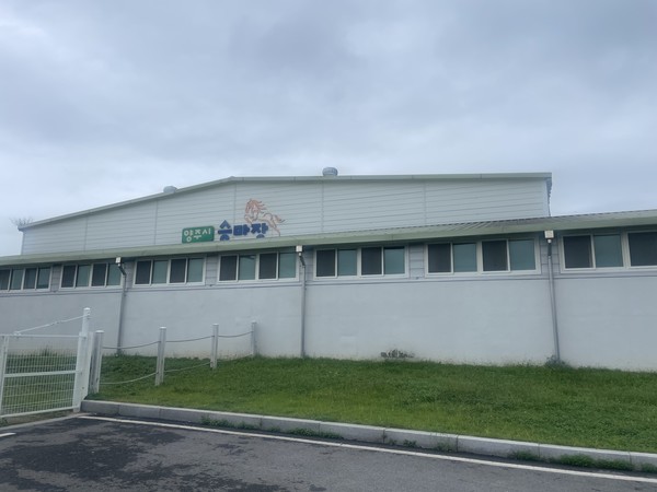 [생생 축산 정보통⑧] 스포츠와 힐링을 동시에 경기도 승마 체험지원 사업