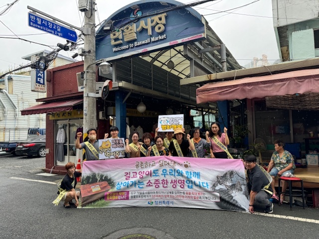 창원시, 반월시장서 길고양이 공존문화 확산 캠페인 열어