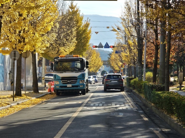 창원시 성산구, 겨울철 낙엽 집중 정비 나서