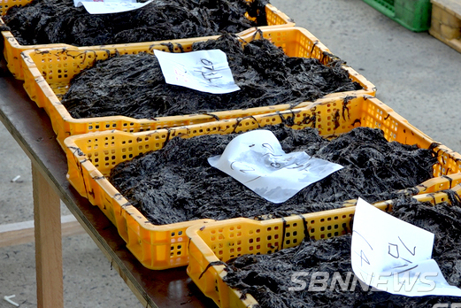 【서천】서천 김, ‘수산식품산업거점단지’로 비상
