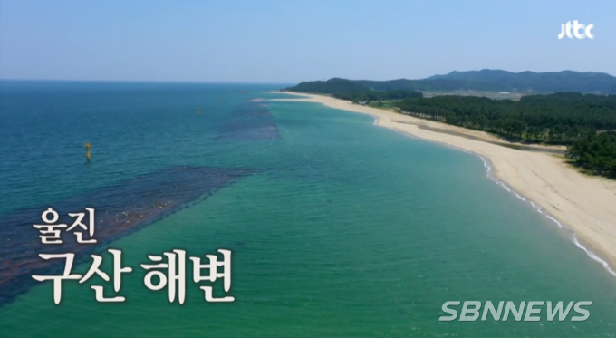 ‘캠핑클럽’ 이진은 회사 대표님의 장례식에 못...