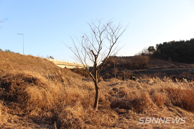 【기획탐방】서천 풍정리 유적공원(遺蹟公園)을 찾아서...시인 구재기와 함께하는 舒川山河(서천산하) 26편