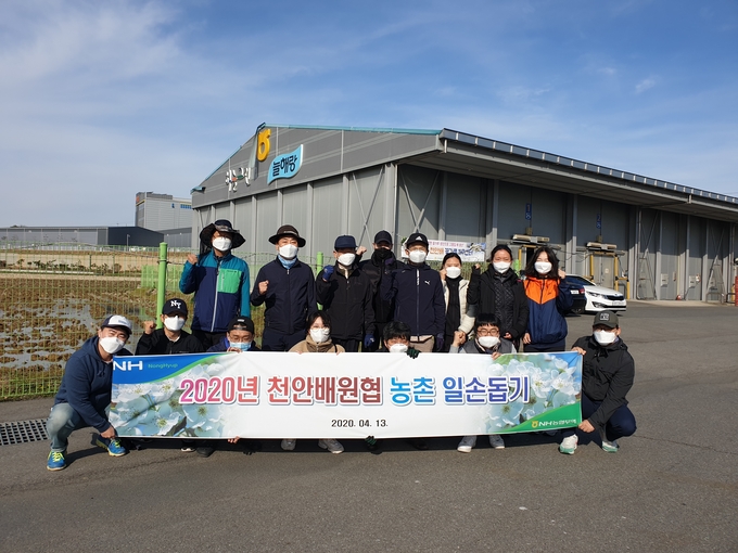 NH농협무역, 농촌일손돕기 실시