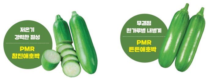 고소득을 원한다면! 튼튼하고 때깔도 좋은 동오시드 호박