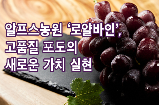 알프스농원 ‘로얄바인’, 고품질 포도의 새로운 가치 실현