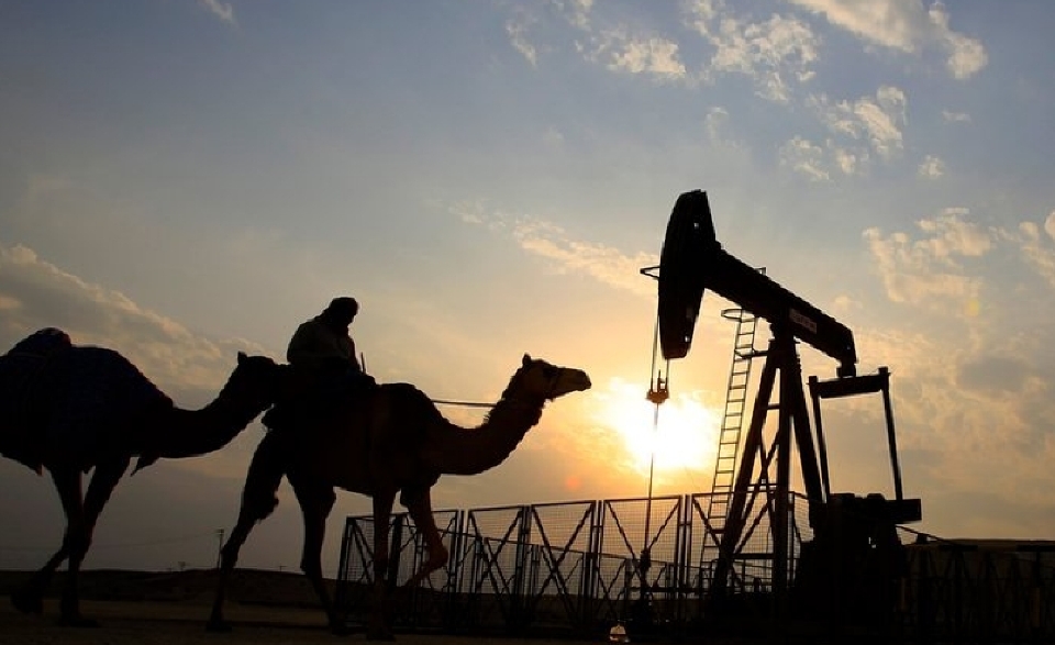美 원유재고 개선·IEA 전망으로 WTI 4.9% 급등