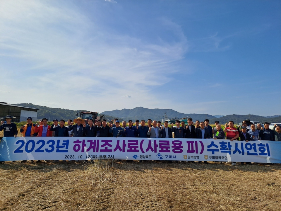 구미시, 논에서 생산한 하계조사료 공급…농가 경쟁력 확보