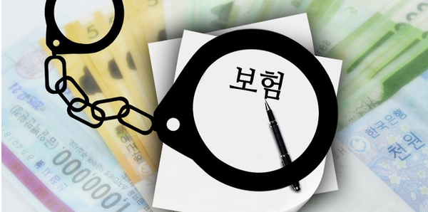 금감원 보험사기 피해 고지 기한 30일에서 15일로 단축