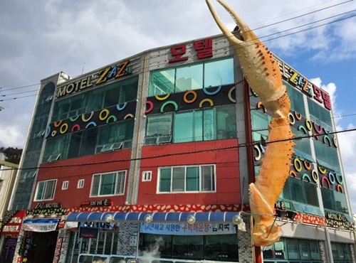 [여행 맛집] 관광객 필수 여행코스...영덕 대게전문점 영덕 강구항 대게촌