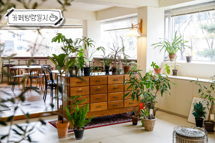 [카페방랑일지] 꽃과 식물, 차와 커피, 고양이와 인간의 공생 - 카페 목로정원