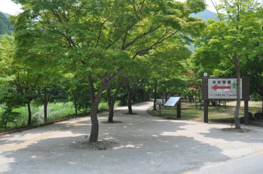 내장산 자연사랑길 구간 일방 통행제 실시