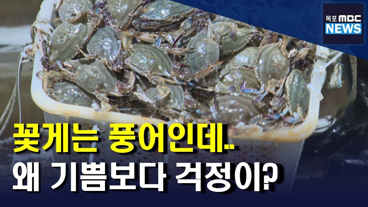 진도 꽃게 봄 조업 마무리..풍어도 걱정(R)