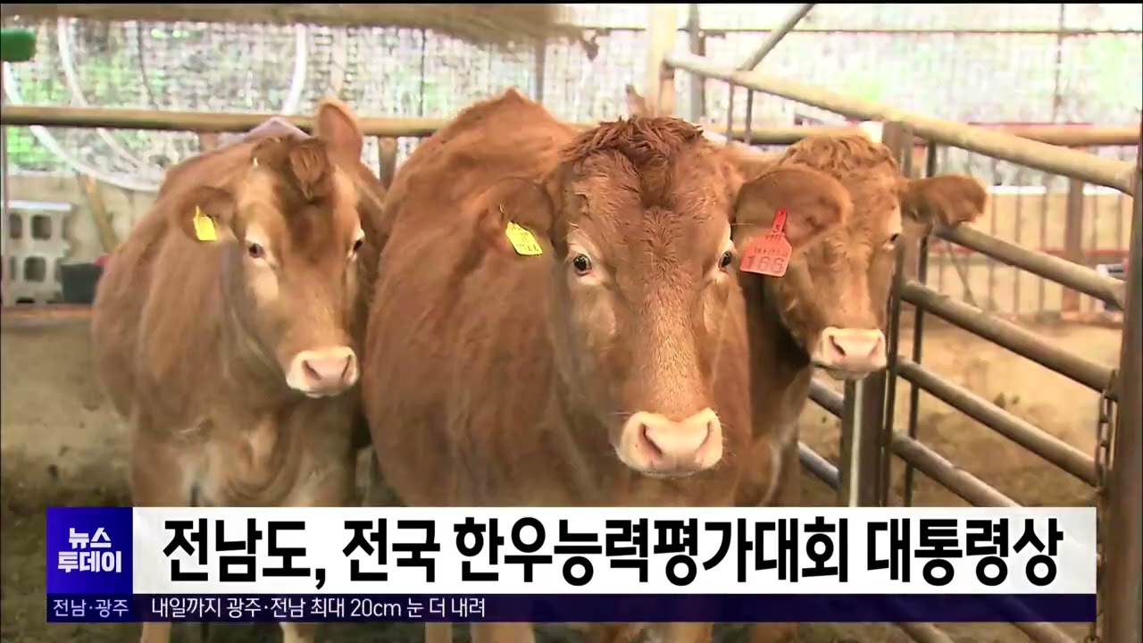 전남도, 전국 한우능력평가대회 대통령상