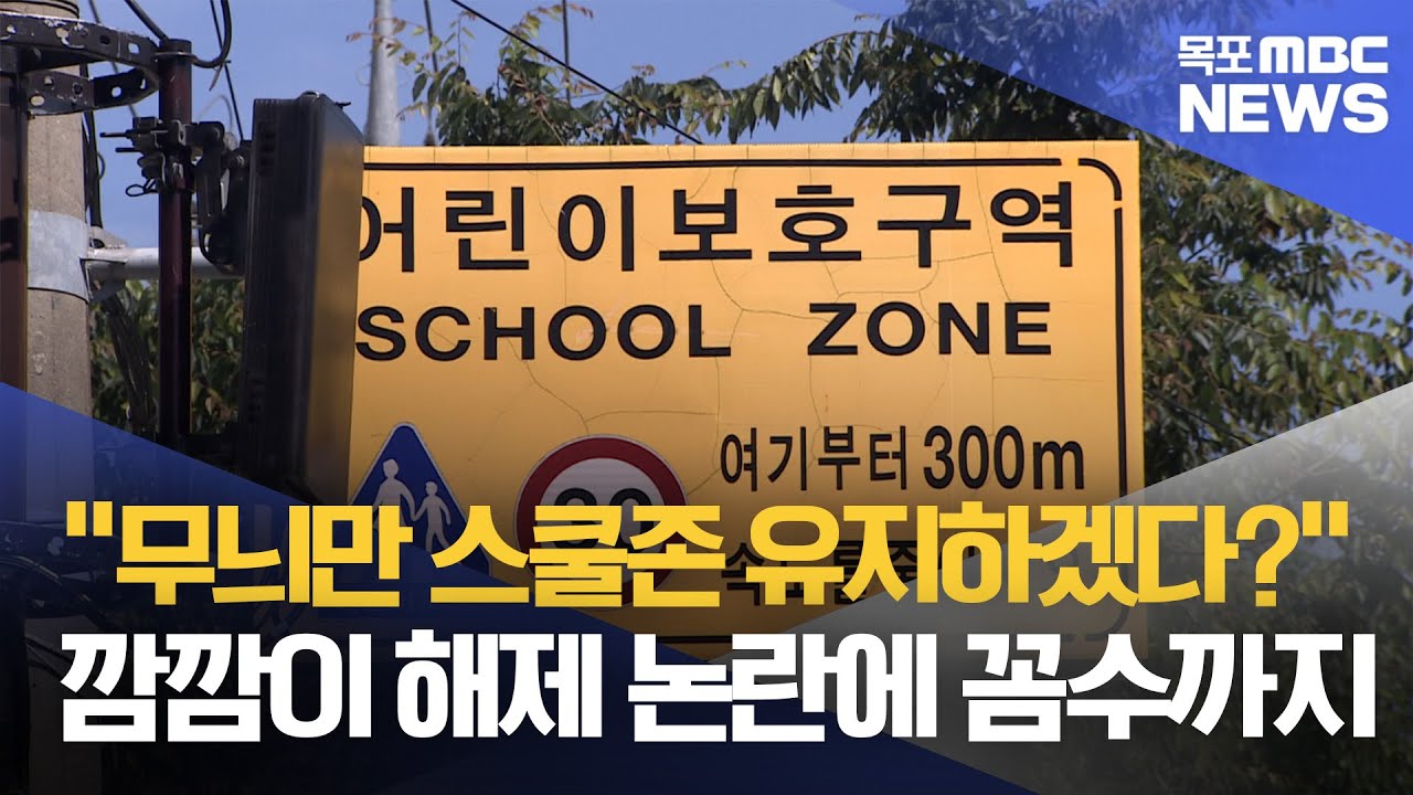 딜레마에 예산도 낭비..무늬만 스쿨존 괜찮나?
