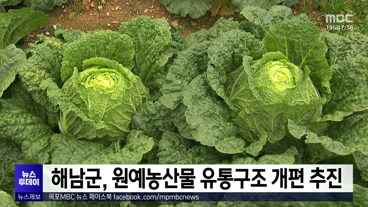 해남군, 원예농산물 유통구조 개편 추진