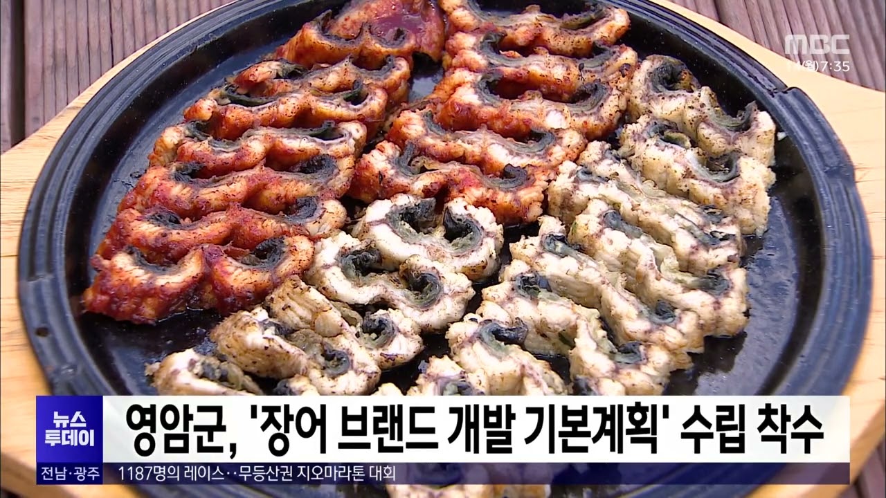 영암군, 장어 브랜드 개발 기본계획 수립 착수
