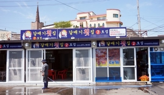 고성 횟집, 자연산 활어 회와 시원한 물회 ‘갈매기횟집’