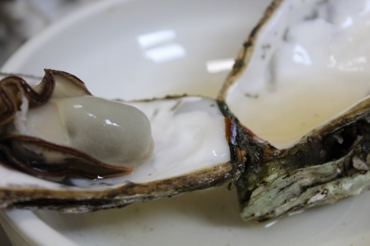 거제도 맛집, ‘포로수용소 굴-구이집’ 지역 특산 음식 코스 개발