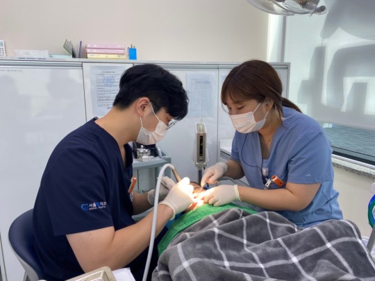 서울정진치과의원, 학대피해아동 위한 무료 치과진료 지원