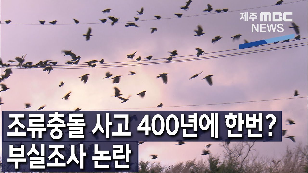(리포트)400년에 한 번? ... 부실조사 논란