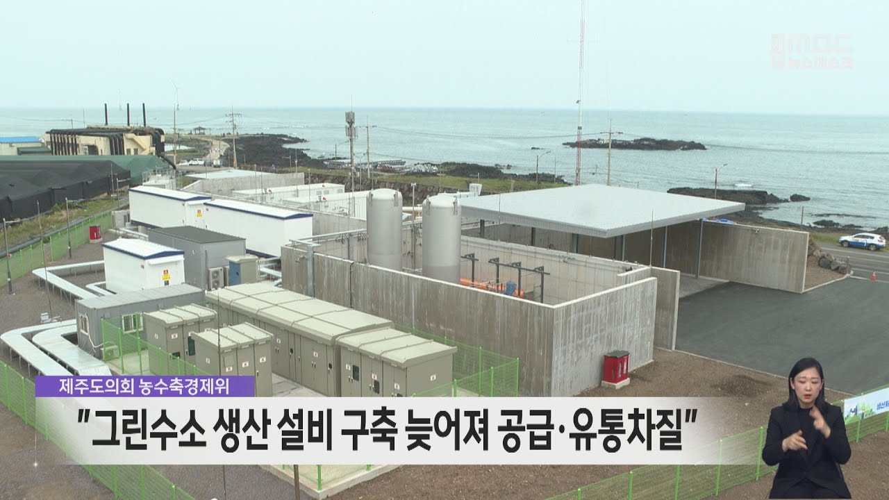 그린수소 생산 설비 구축 늦어져 공급·유통 차질